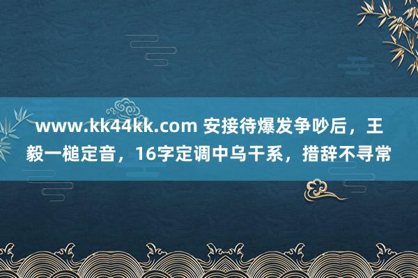 www.kk44kk.com 安接待爆发争吵后，王毅一槌定音，16字定调中乌干系，措辞不寻常