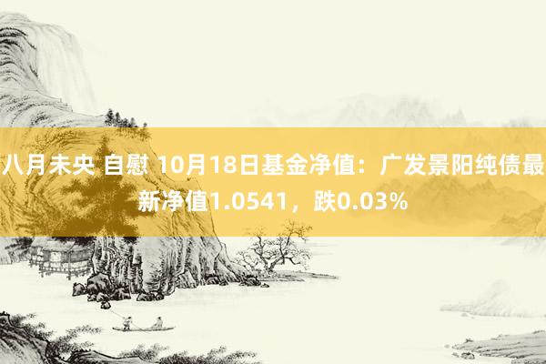 八月未央 自慰 10月18日基金净值：广发景阳纯债最新净值1.0541，跌0.03%