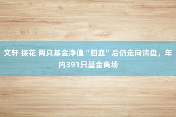 文轩 探花 两只基金净值“回血”后仍走向清盘，年内391只基金离场