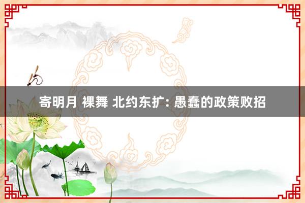 寄明月 裸舞 北约东扩: 愚蠢的政策败招