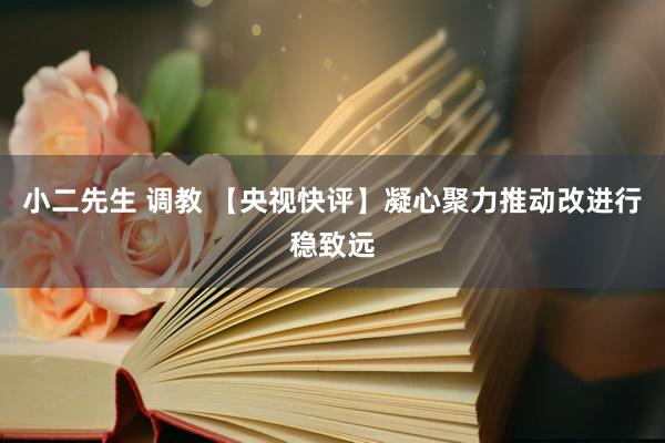 小二先生 调教 【央视快评】凝心聚力推动改进行稳致远