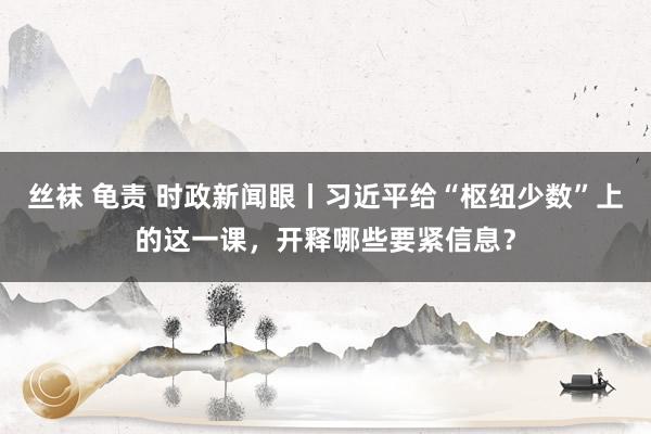 丝袜 龟责 时政新闻眼丨习近平给“枢纽少数”上的这一课，开释哪些要紧信息？