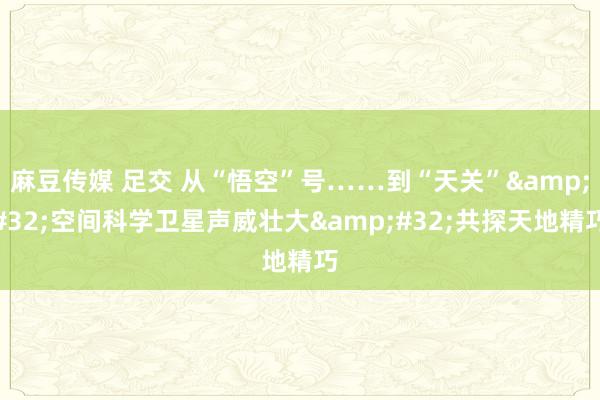 麻豆传媒 足交 从“悟空”号……到“天关”&#32;空间科学卫星声威壮大&#32;共探天地精巧