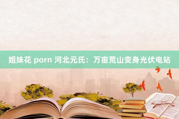 姐妹花 porn 河北元氏:万亩荒山变身光伏电站