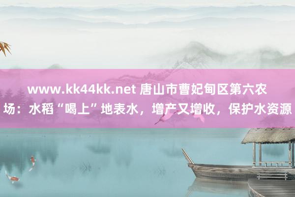 www.kk44kk.net 唐山市曹妃甸区第六农场：水稻“喝上”地表水，增产又增收，保护水资源