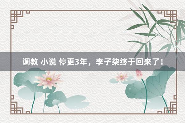 调教 小说 停更3年，李子柒终于回来了！