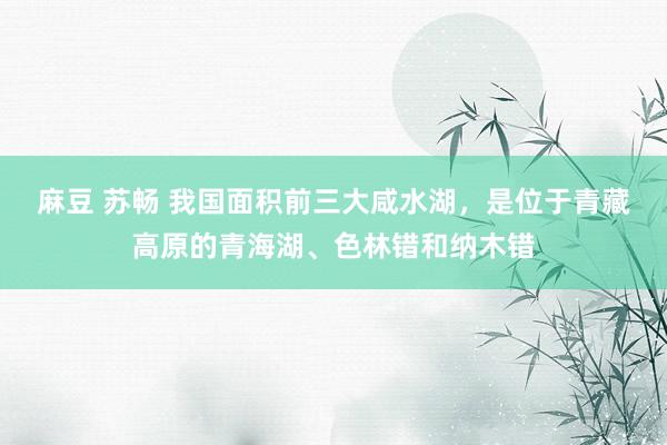 麻豆 苏畅 我国面积前三大咸水湖，是位于青藏高原的青海湖、色林错和纳木错