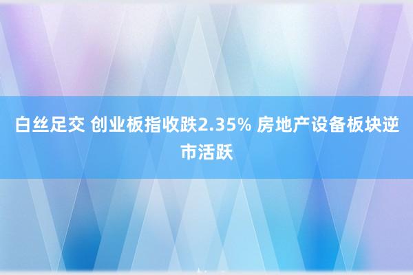 白丝足交 创业板指收跌2.35% 房地产设备板块逆市活跃