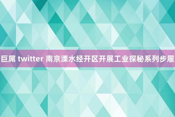 巨屌 twitter 南京溧水经开区开展工业探秘系列步履