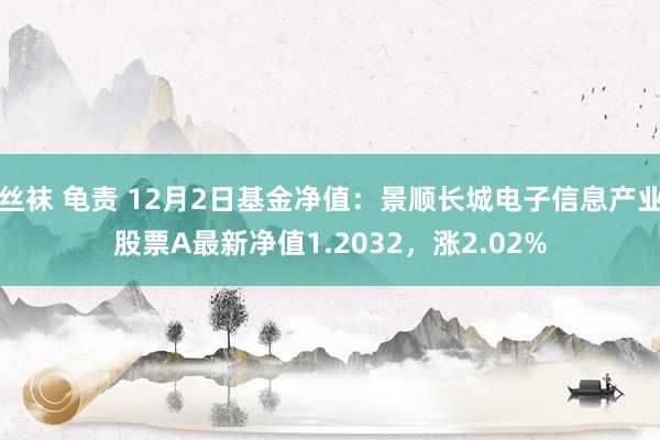 丝袜 龟责 12月2日基金净值：景顺长城电子信息产业股票A最新净值1.2032，涨2.02%
