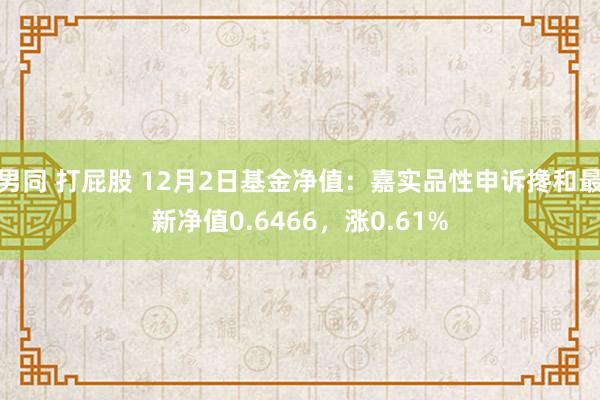 男同 打屁股 12月2日基金净值：嘉实品性申诉搀和最新净值0.6466，涨0.61%