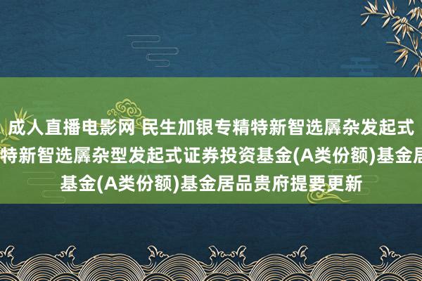 成人直播电影网 民生加银专精特新智选羼杂发起式A: 民生加银专精特新智选羼杂型发起式证券投资基金(A类份额)基金居品贵府提要更新