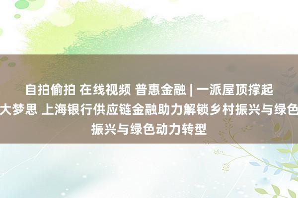 自拍偷拍 在线视频 普惠金融 | 一派屋顶撑起绿色动力大梦思 上海银行供应链金融助力解锁乡村振兴与绿色动力转型