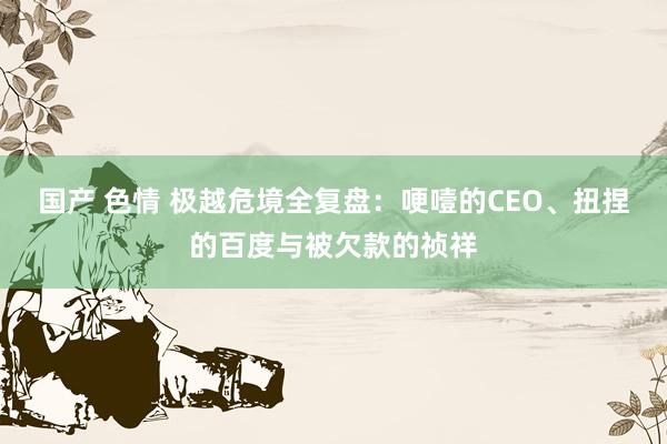 国产 色情 极越危境全复盘：哽噎的CEO、扭捏的百度与被欠款的祯祥