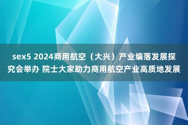 sex5 2024商用航空（大兴）产业编落发展探究会举办 院士大家助力商用航空产业高质地发展