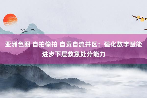 亚洲色图 自拍偷拍 自贡自流井区：强化数字赋能进步下层救急处分能力
