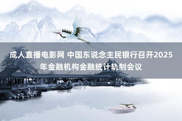成人直播电影网 中国东说念主民银行召开2025年金融机构金融统计轨制会议