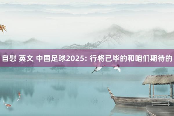 自慰 英文 中国足球2025: 行将已毕的和咱们期待的