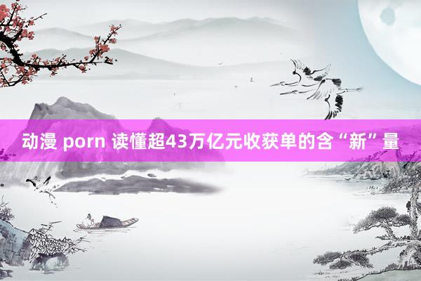 动漫 porn 读懂超43万亿元收获单的含“新”量