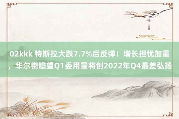 02kkk 特斯拉大跌7.7%后反弹！增长担忧加重，华尔街瞻望Q1委用量将创2022年Q4最差弘扬