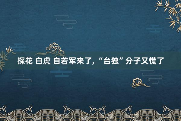 探花 白虎 自若军来了， “台独”分子又慌了