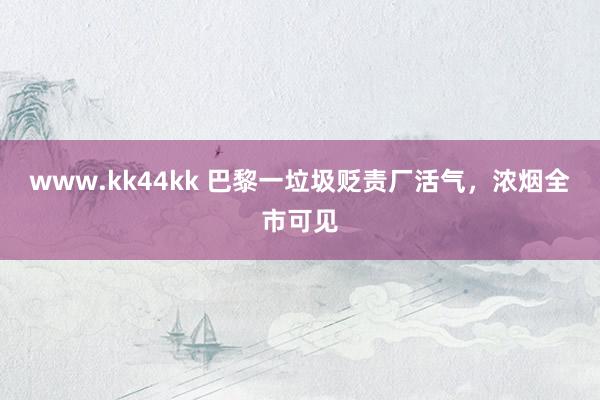 www.kk44kk 巴黎一垃圾贬责厂活气，浓烟全市可见